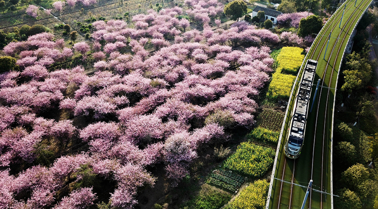联播+｜习近平这样阐释中国式现代化