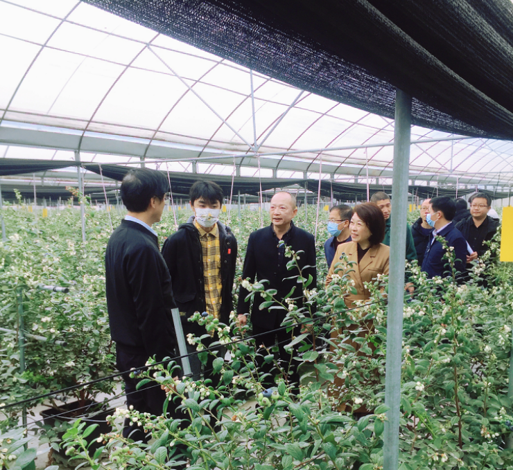 福建漳州副市长兰万安带队到康之味调研