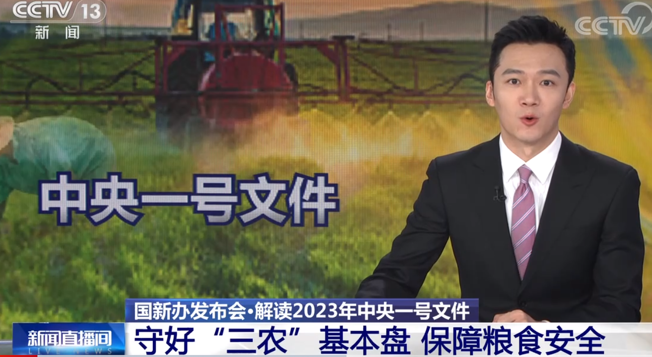 如何保障国家粮食安全？农业农村部介绍发力方向