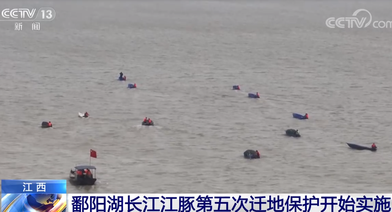 鄱阳湖长江江豚第五次迁地保护开始实施