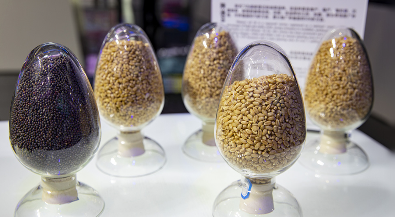 全力备春耕 科学育种做强农业“芯片”