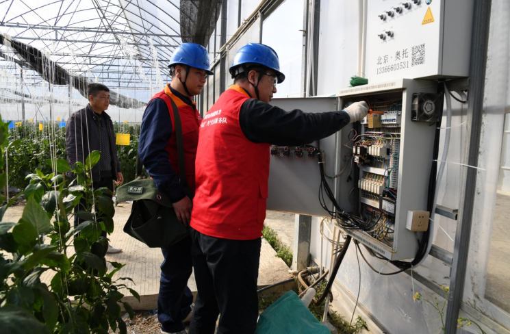 福建云霄供电：延伸服务 保障现代农业用电安全