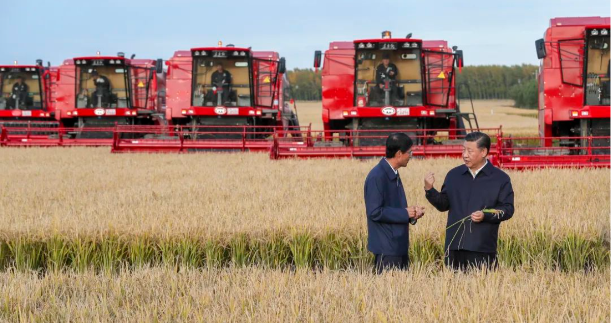 “盛在碗里的，一个饭粒都不能丢了”