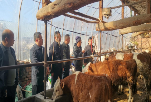 太原娄烦：外出学习取牛经 拓展养牛新视野273.png