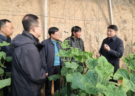 山西省市场监管局鞠振局长莅同调研