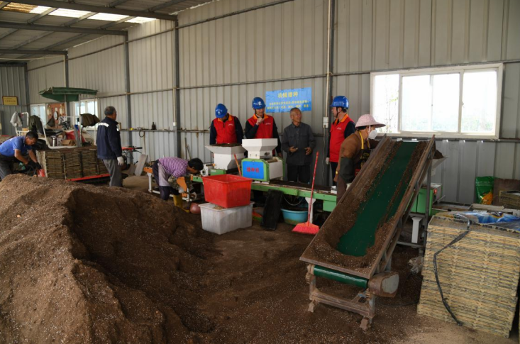 福建云霄供电：优质服务到田头“满格”电力助春耕