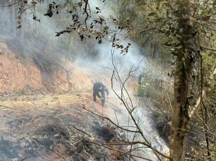福建福安溪潭派出所扑灭一处山火 救助一只麂子