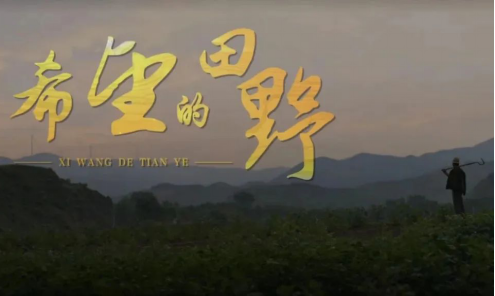 太原娄烦县委组织部抓住“三个课堂”，建强高素质干部队伍264.png