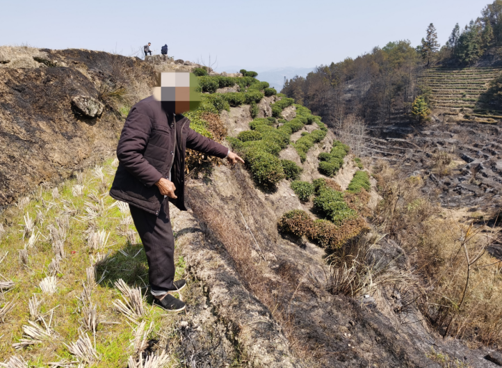 福建福安蟾溪森林派出所快速侦破一起森林火灾案