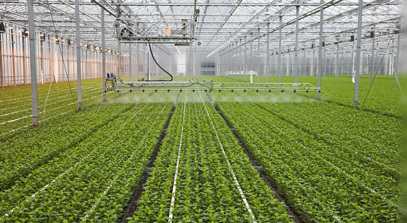 科技赋能“菜篮子” 各地品春鲜 尝春意