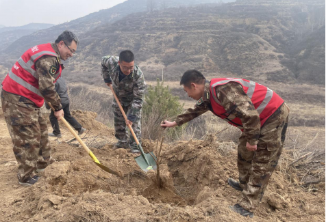 太原阳曲县西凌井乡开展 “党建引领促发展 争先植树添新绿”主题党日活动302.png