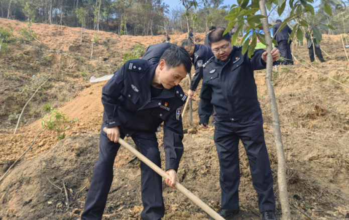 福建福安森林民警积极参加义务植树活动