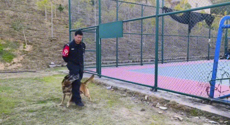 福建屏南巡特警实战大练兵火力全开