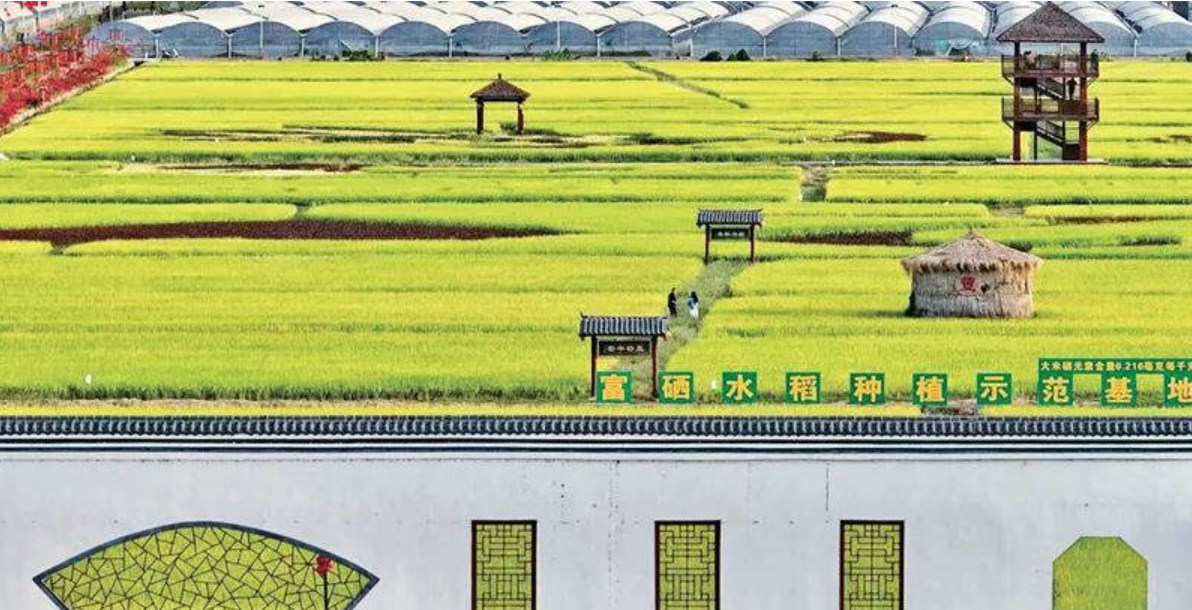 为什么要加快建设农业强国？