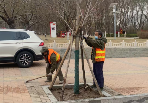 太原万柏林：补植增绿更新貌 助力创城焕新颜