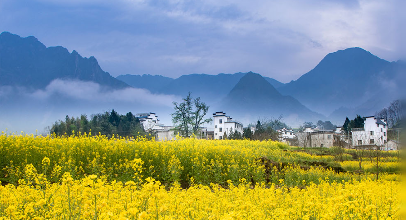 天下一家｜坚持人与自然和谐共生