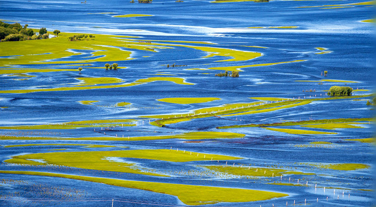 【新思想引领新征程】加强生态保护修复 厚植美丽中国根基