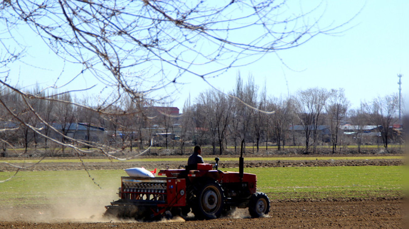 科学春播春管 确保全年丰收