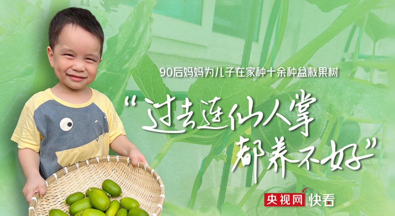 90后妈妈为儿子在家种十余种盆栽果树，“过去连仙人掌都养不好”