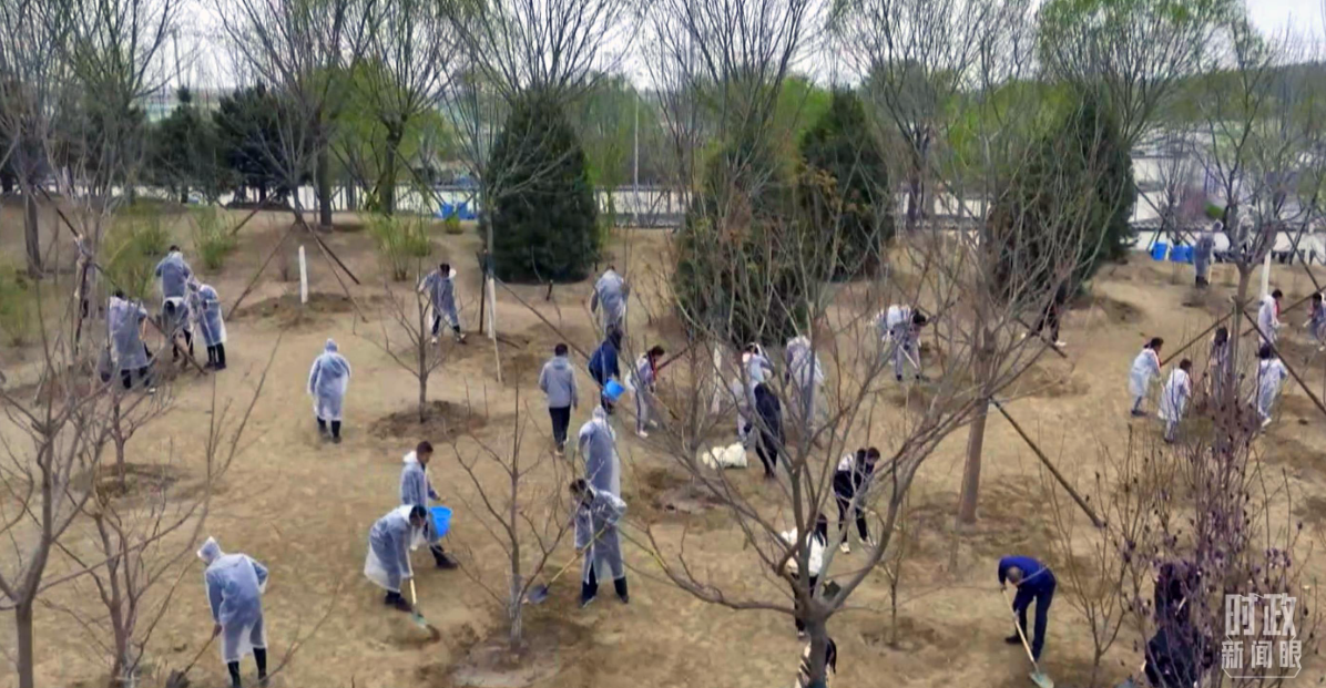 时政新闻眼丨在今年首都义务植树现场，习近平这三句话饱含深意