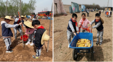 体验农耕乐趣  感受劳动魅力——太原万柏林区公园路玉门花园小学劳动教育研学活动