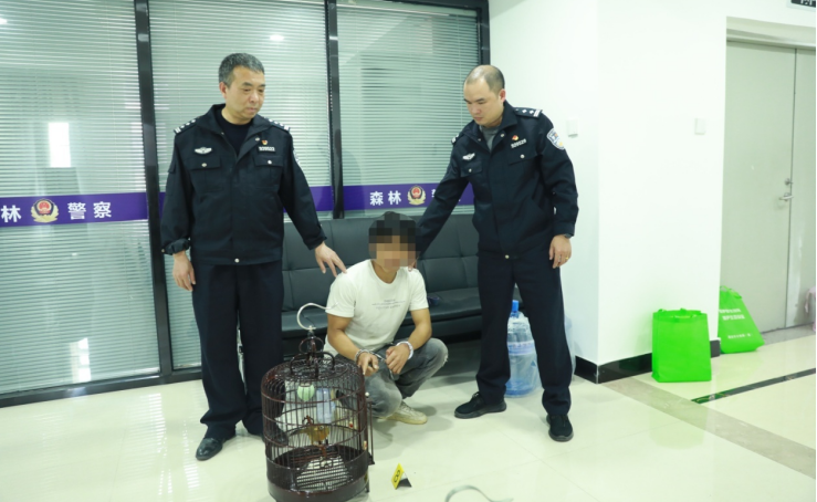 福建福安查获一起非法狩猎捕画眉的违法行为