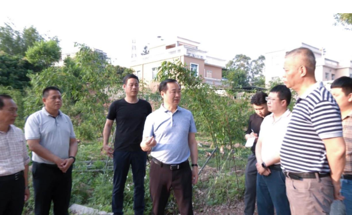 福建漳浦县长带队督导全力以赴做好生态环保整治工作
