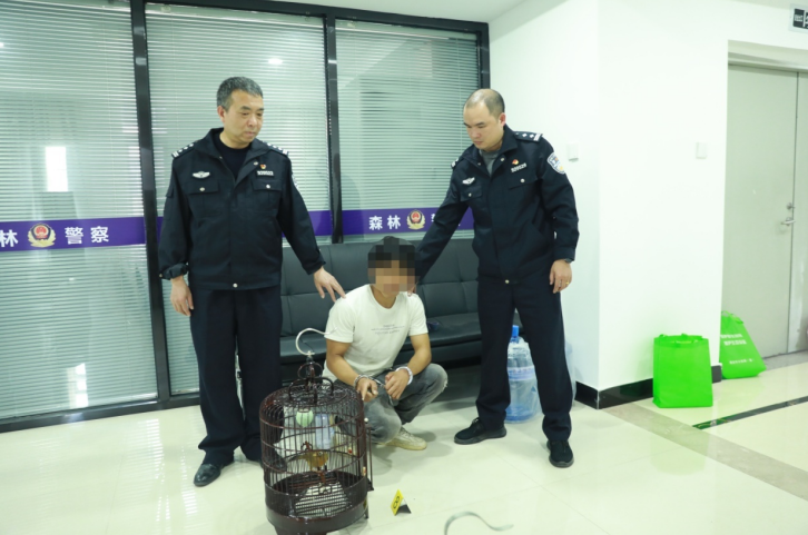 福建福安破获一起非法狩猎捕国家二级保护野生动物案