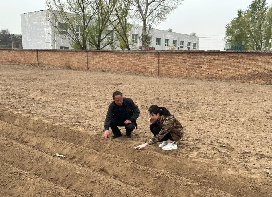 图片17.png 图片17.png