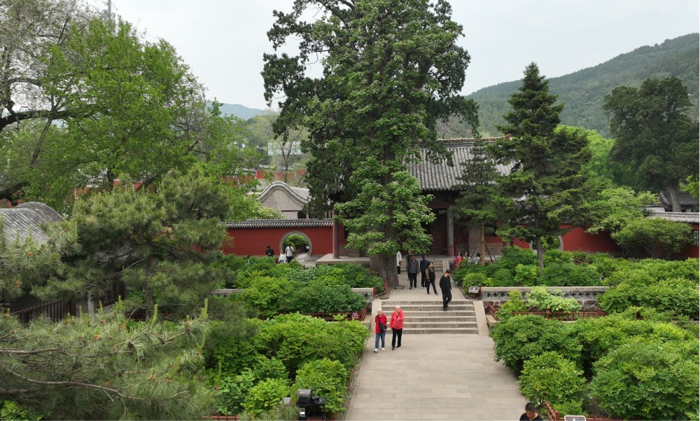 图片25.jpg