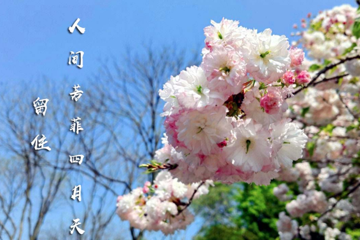 微信截图_20230513082639.png