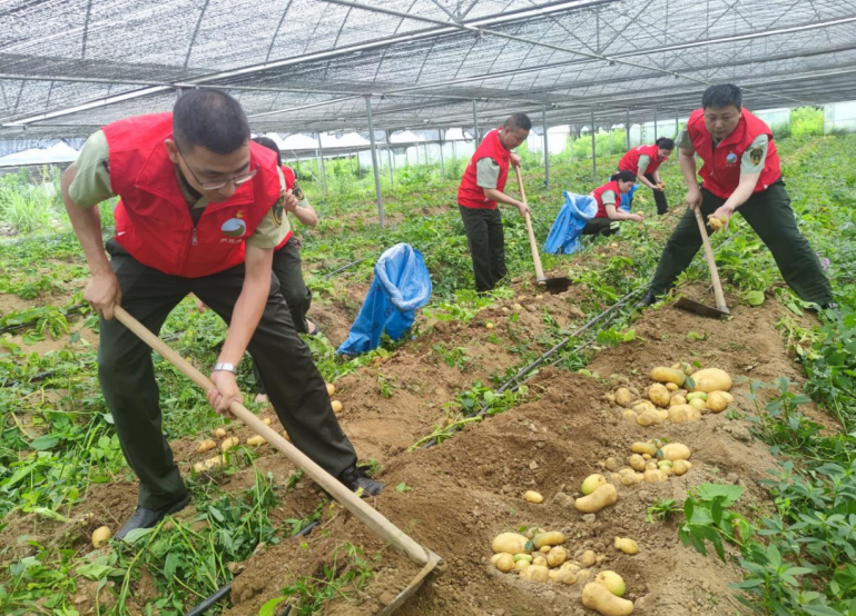 坚持多措并举 聚焦学思践悟 ——龙岩高速高质量推动主题教育走深走实