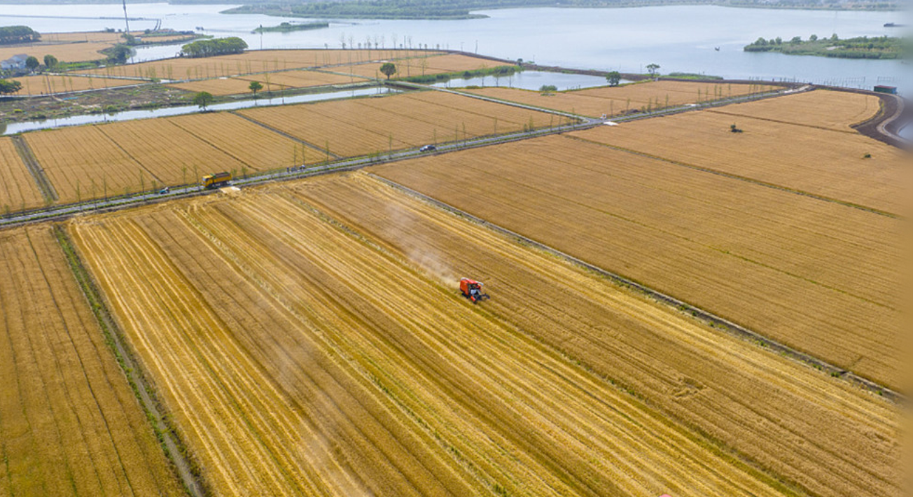 “奔跑”的三夏·中国丰收地图