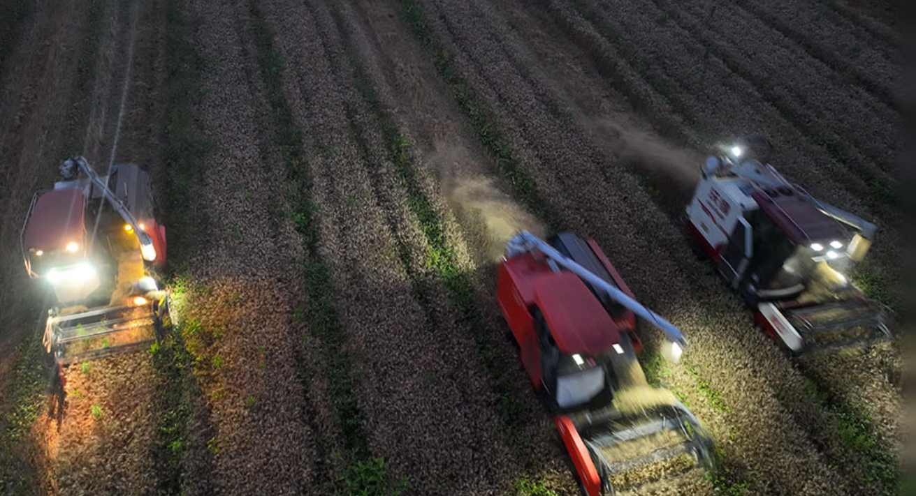 奔跑的“三夏”｜新闻特写：雨口夺粮的一周