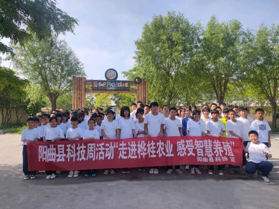 图片30.jpg