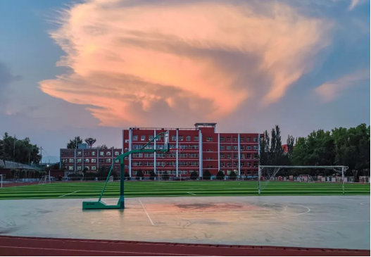 低进高出助力圆梦  高进优出超越自我  筑巢引凤梦在前方  知行合一路在脚下——