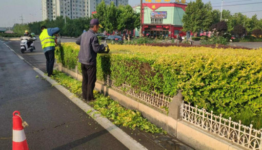 临汾襄汾县住建局：守护夏日一抹绿  美化城区环境