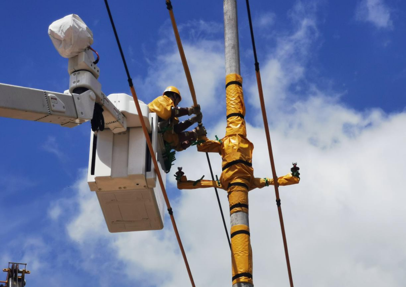 福建云霄供电：带电立杆作业　保障企业及群众用电