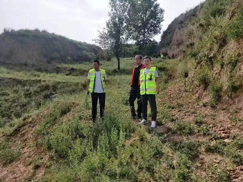 太原古交市常安乡：多方发力排查罂粟