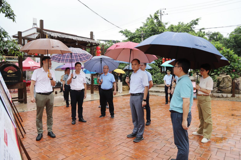 福建漳浦县委书记调研推进乡村振兴“十镇百村”示范建设