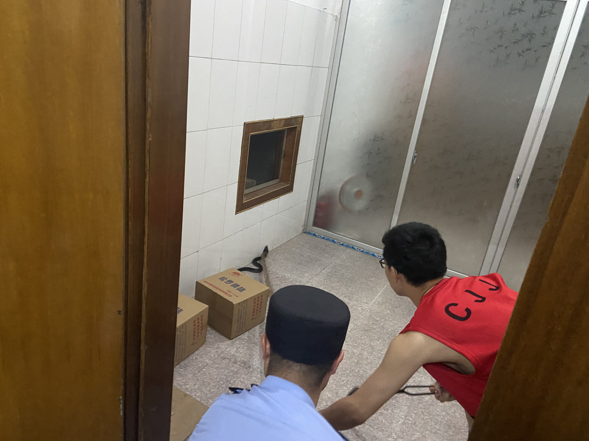 “不速之客”跑进居民家中乘凉 福建福安民警到场上演“捕蛇记”