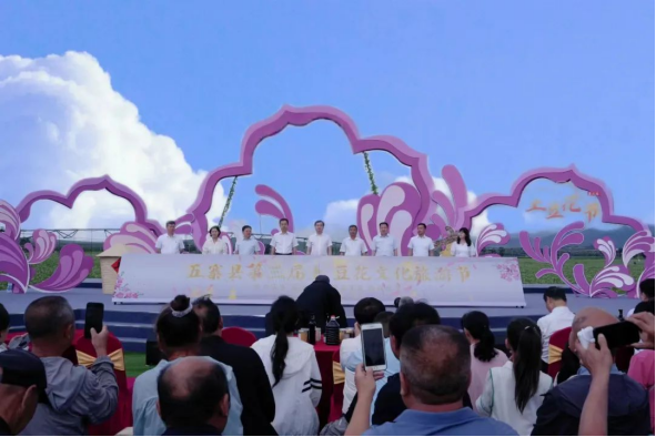 忻州五寨县举办第三届土豆花文化旅游节