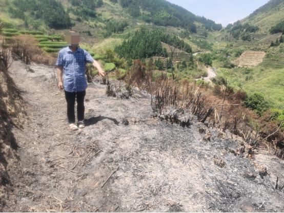 七旬老汉焚烧杂草引发森林火灾被福建福安警方依法采取刑事强制措施