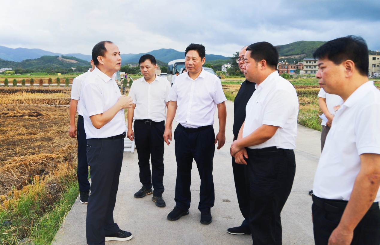 福建漳浦县委书记到官浔镇调研