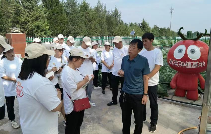 太原古交市龙子村蔬菜产业触网啦