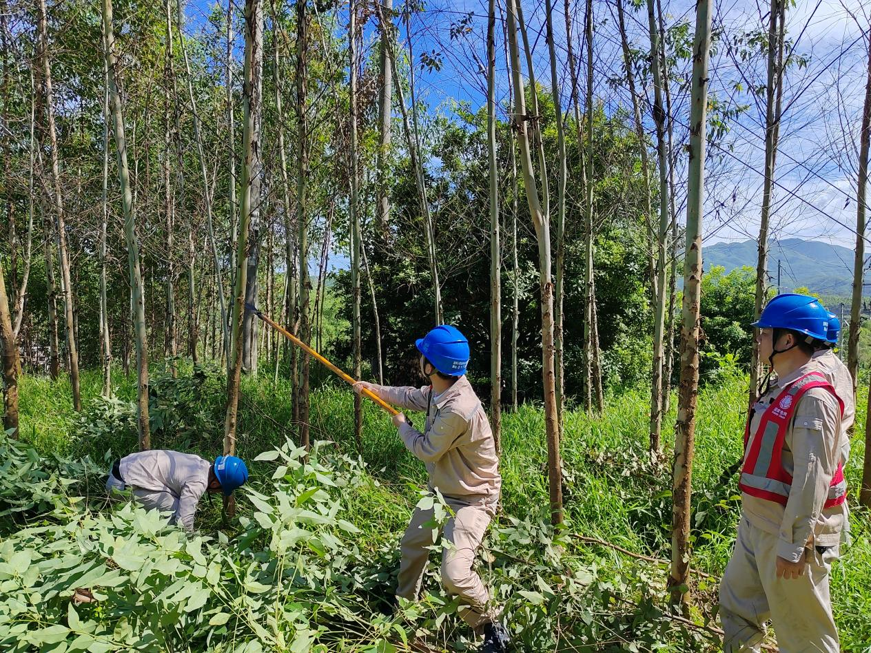 福建云霄供电：做足防范准备 全力应对台风“杜苏芮”