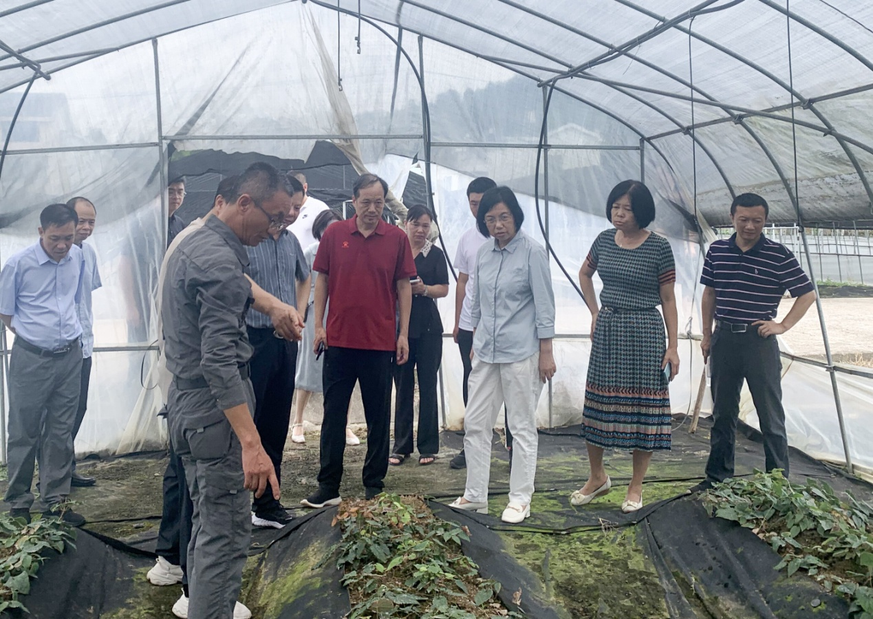 福建南平市人大常委会潘敏芳带队开展中医药“一法一例”执法检查