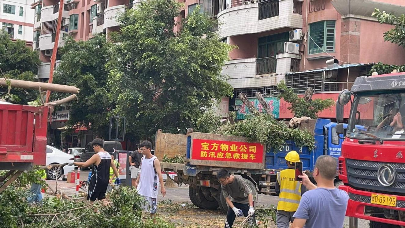 福建泉州杜振芳：迎战超强台风 守护温馨家园