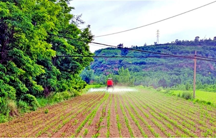 山西灵石县：农村集体经济“多点开花”绽放乡村振兴“满园春色”