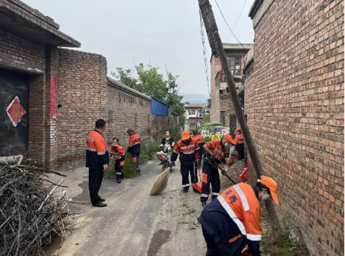 太原万柏林区城管局：扎实推进病媒生物治理工作